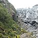 Franz_josef_glacier6