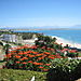 Mossel_bay1