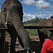 Feeding_sally1