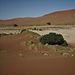 Sussosvlei2