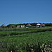 Xhosa_houses1