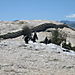 Penguins_at_boulders_beach