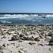 Cape_of_good_hope5