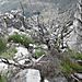 Table_mountain6