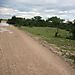 Etosha_road