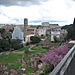 Roman_forum7