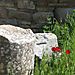 Ephesus12