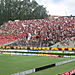 Lively_fans