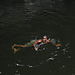 Waterfall_swim