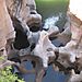 Bourkes_luck_potholes7
