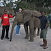 Thandi