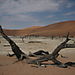 Deadvlei2