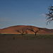 Desert_morning