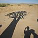 Long_shadows