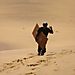 Climbing_the_dune