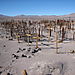 Miner_cemetery2