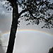 Vic_falls1