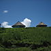 Xhosa_houses3