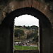 Coliseum8