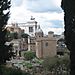 Roman_forum6