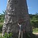 Boabab_tree1
