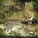 Tarzan