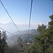 Above_the_trees