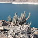 Elqui_valley3