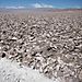 Salt_crust