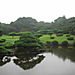 Tokyo_imperial_garden4