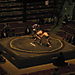 Tokyo_sumo2