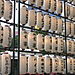 Shinjuku_lanterns2
