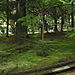 Ryoanji_temple2
