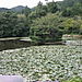 Ryoanji_garden3