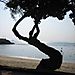Lo_so_shing_beach3