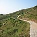 Walk_across_lamma2
