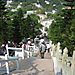 Tian_tan_buddha5