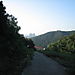 Morning_hike2