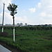 Shanghai_suburban_development