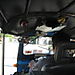 Tuk_tuk_ride