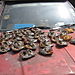 Fish_drying