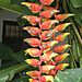 Beuatiful_flowers