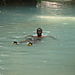 Refreshing_dip
