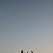 Crescent_moon1