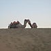 Kissing_camels