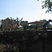 Crop_irrigation2