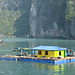 Floating_house