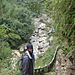 Cat_cat_village4