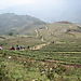 Trekking1