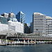 Sydney_wildlife_center